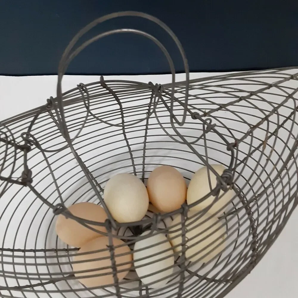 Wire Hen Egg Basket Farmhouse, Country Living, Industrial